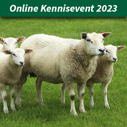 Kijk het online Kennisevent 2023 terug